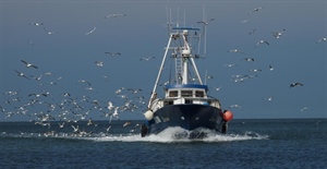 Pesca, Confcooperative Fedagripesca: “Sostegno alla linea La Pietra, servono dati aggiornati e tutele socioeconomiche”